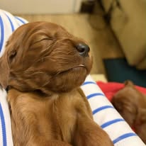 Gallery 611684582 1577665280206289 974578532880181850 n