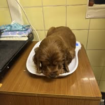 Gallery 617505404 1594392138533603 928395353666209797 n