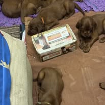 Gallery 617842970 1594396641866486 726082606488935992 n