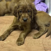 Gallery 618365549 1594396681866482 5091737030984807831 n