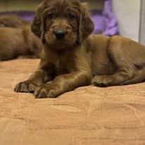 Gallery 619585411 1594396725199811 105064952159184511 n