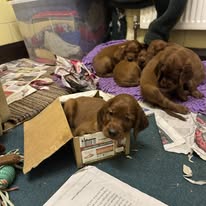 Gallery 619589045 1594396671866483 3554482317967750728 n