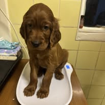 Gallery 619850695 1594392165200267 7826017966397872316 n