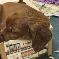 Gallery 621554933 1594396701866480 7035582059376859355 n