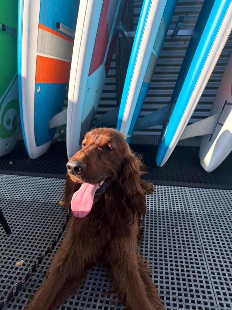 Gallery life.of.rip 1772543733147