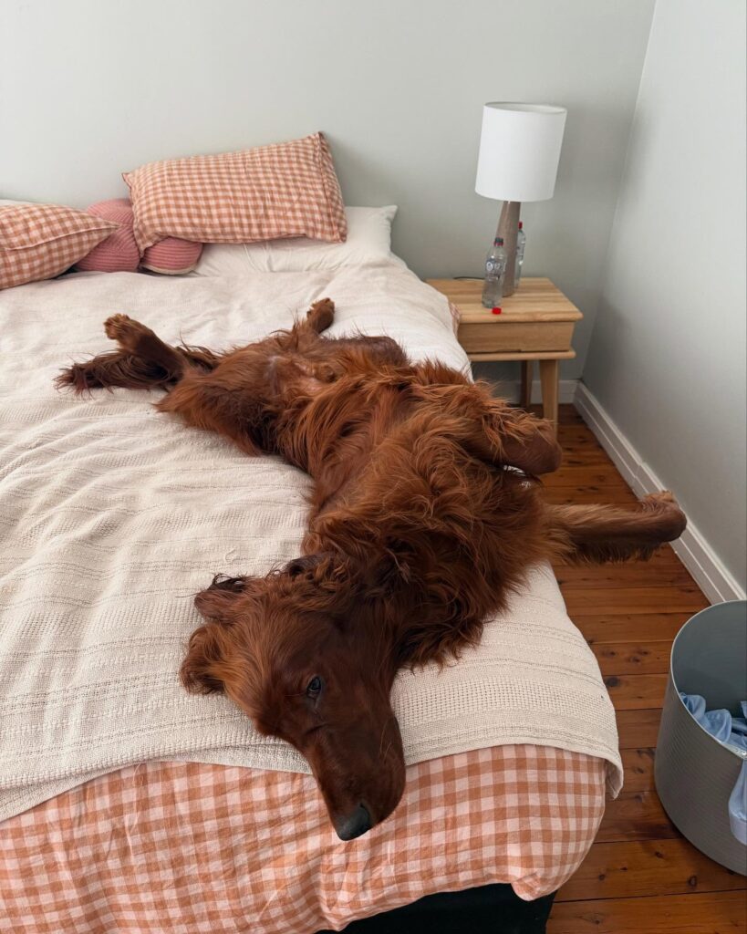 Gallery life.of.rip 1772543823800