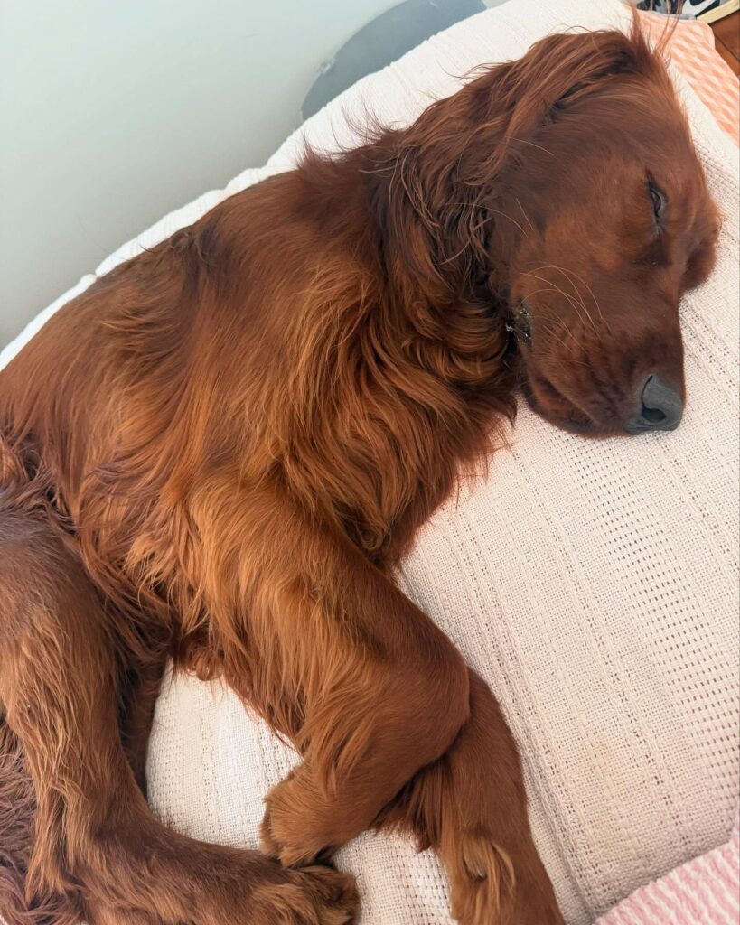 Gallery life.of.rip 1772543825507