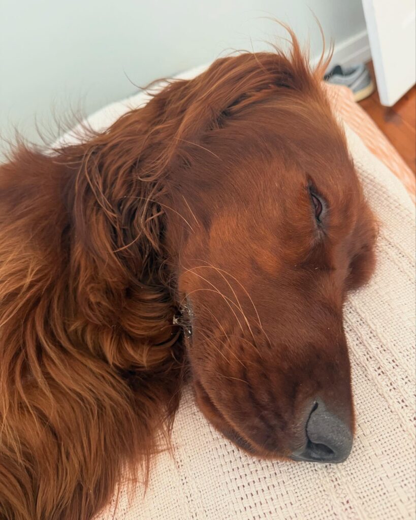 Gallery life.of.rip 1772543826375