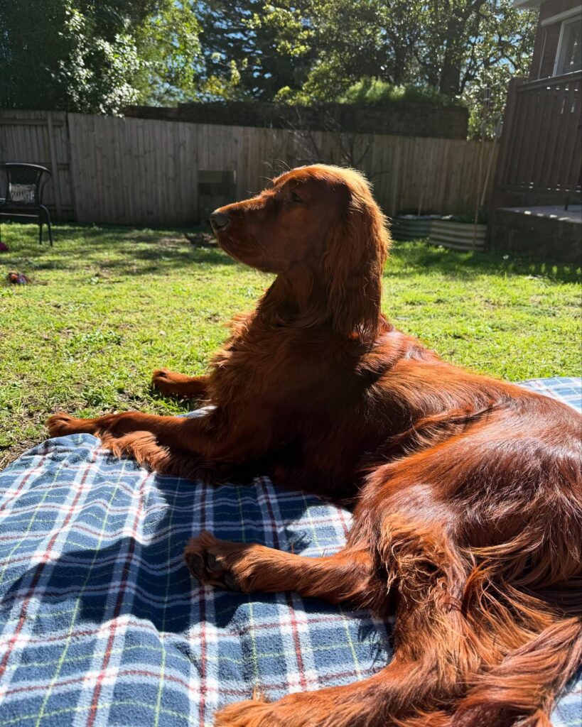 Gallery life.of.rip 1772543926826