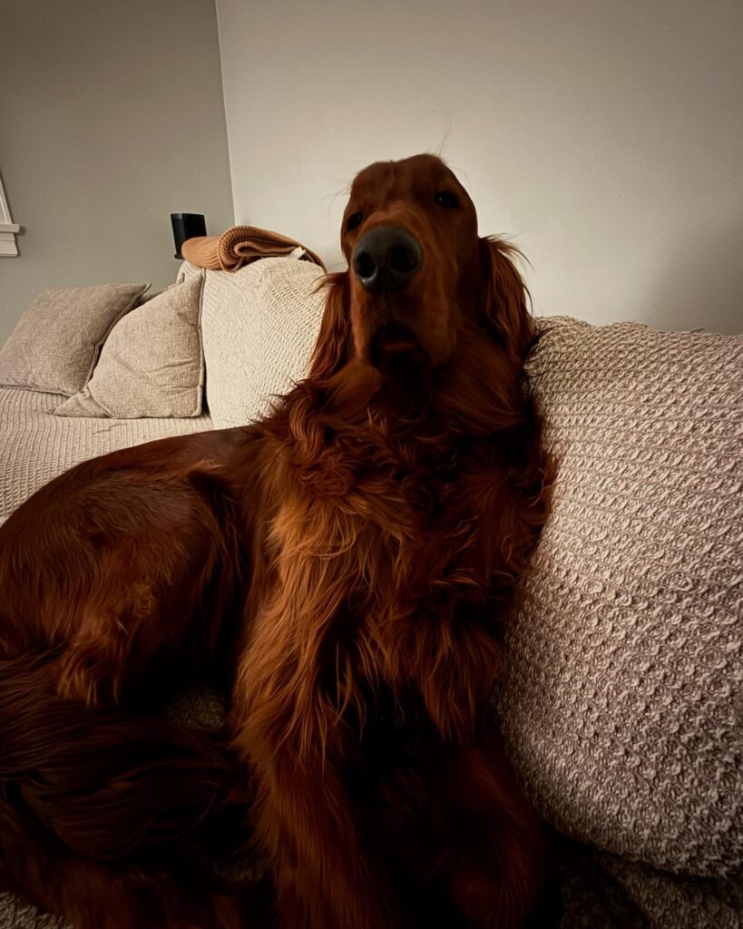 Gallery life.of.rip 1772543930052