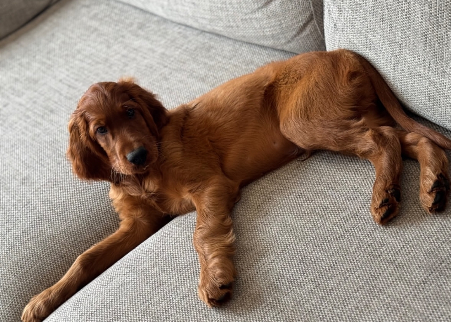 meet♡ finley meet♡ finley