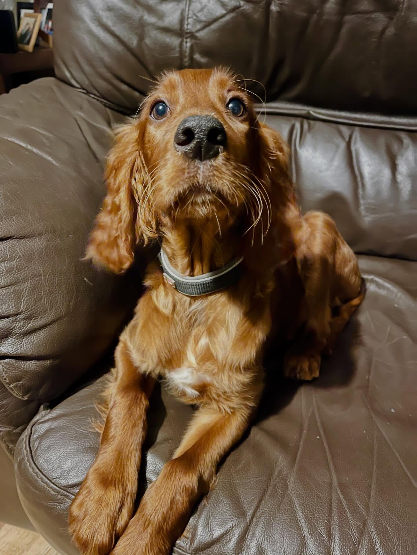 meet♡ lila meet♡ lila