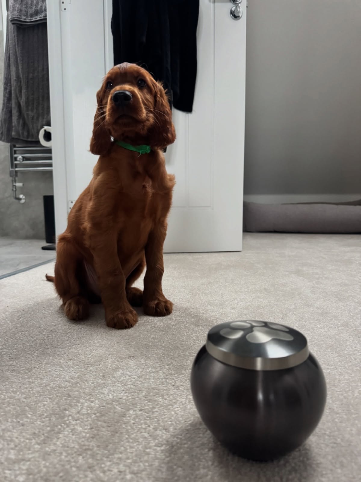 meet♡ finley meet♡ finley