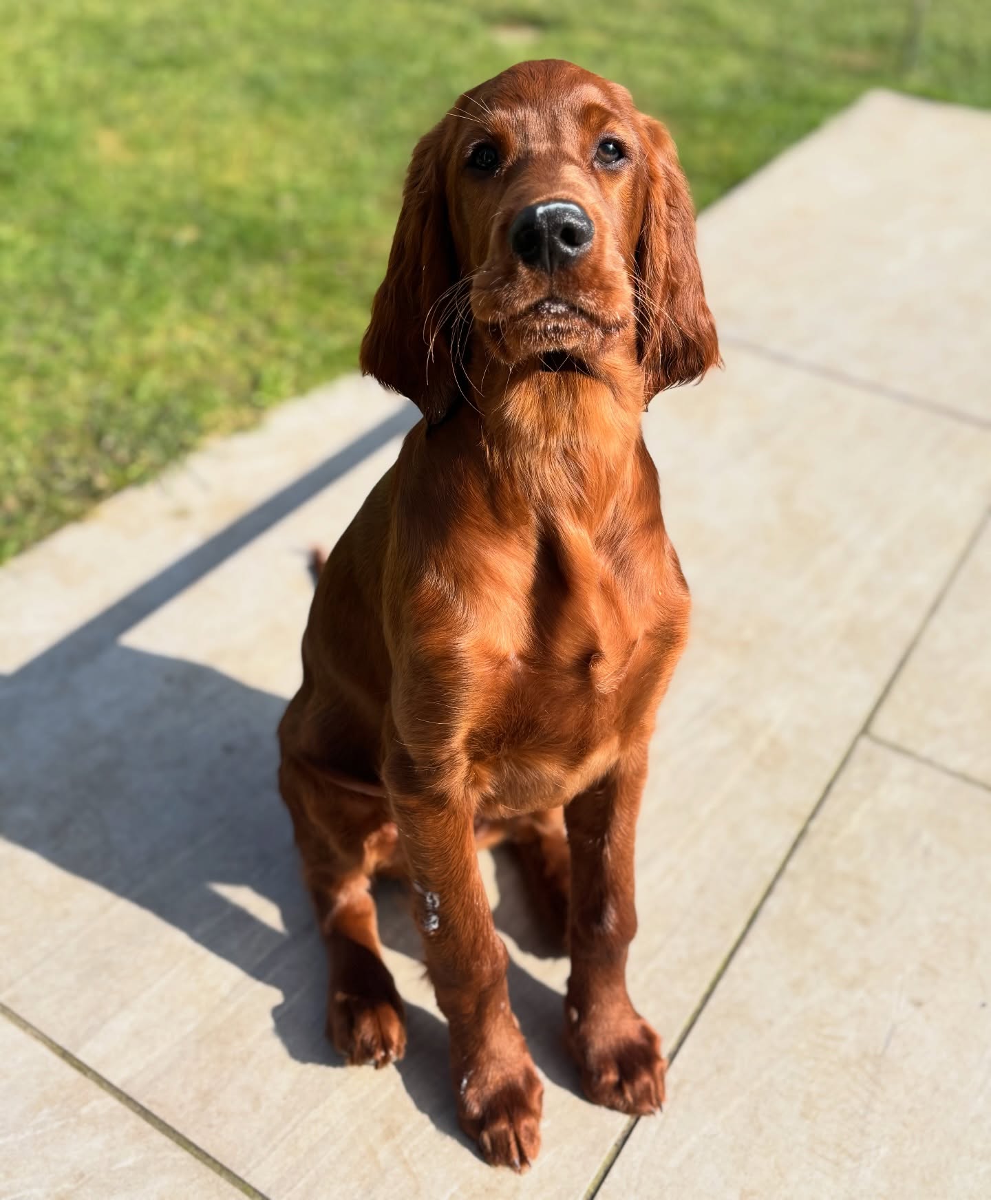 meet%e2%99%a1-cooper