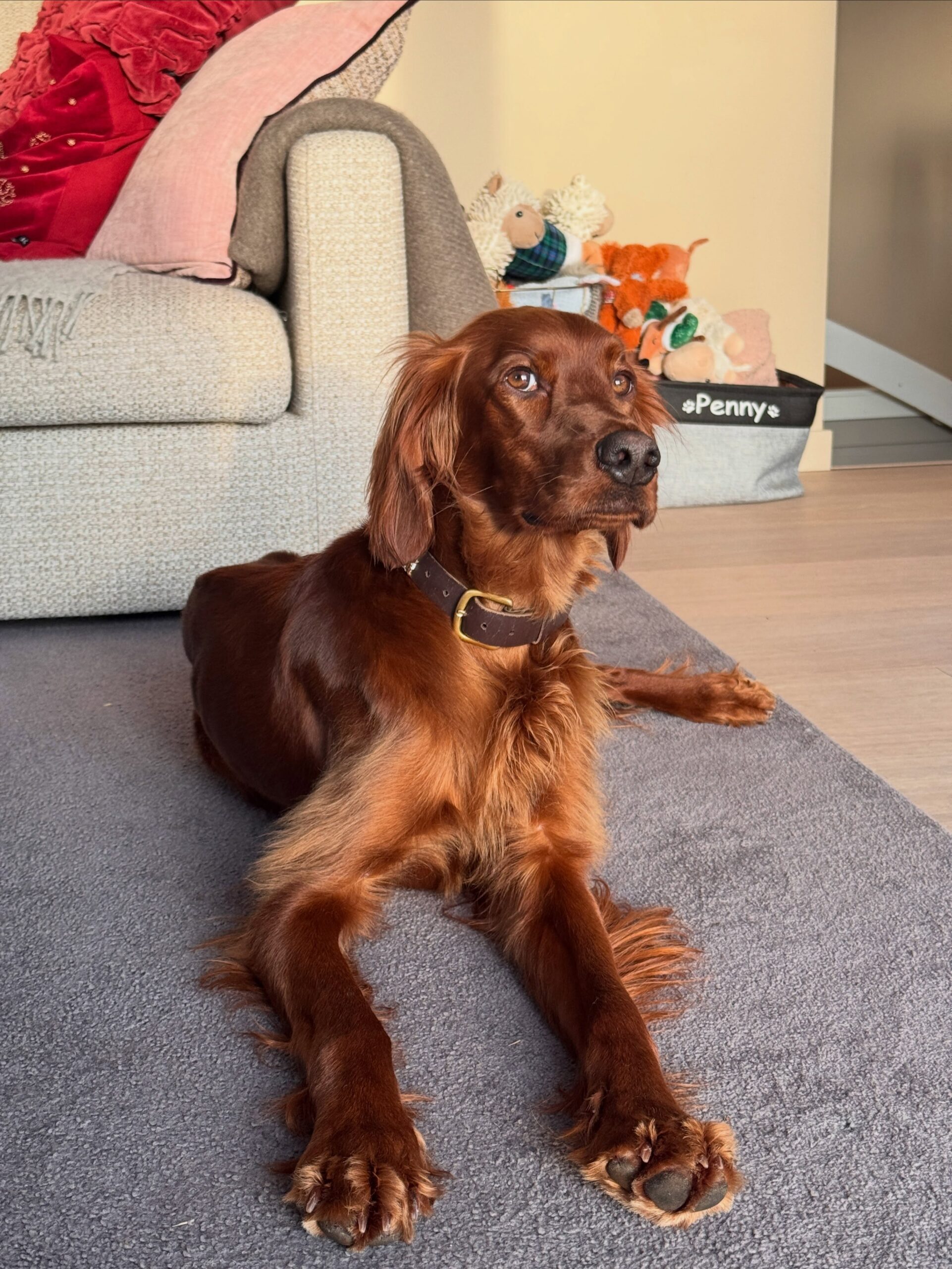 orla